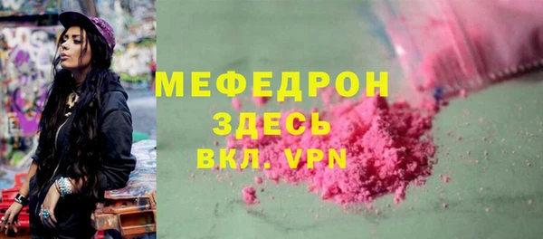 spice Дмитриев