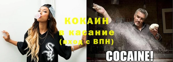 spice Дмитриев