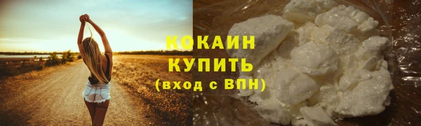 мдпв Дмитров