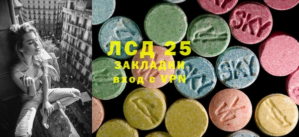 spice Дмитриев
