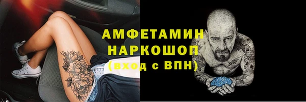 spice Дмитриев