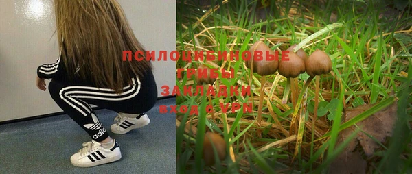 мдпв Дмитров