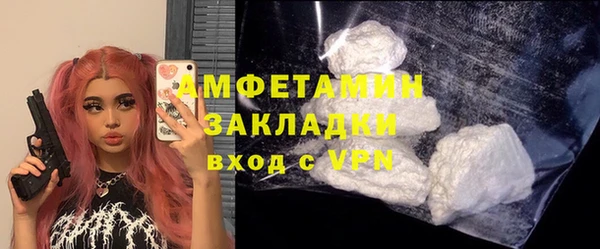 spice Дмитриев