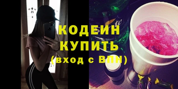 spice Дмитриев