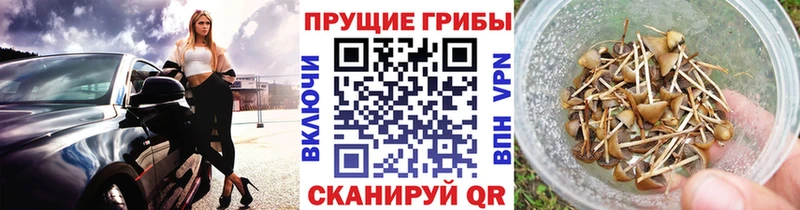 Галлюциногенные грибы ЛСД цена сайты даркнета телеграм Камызяк